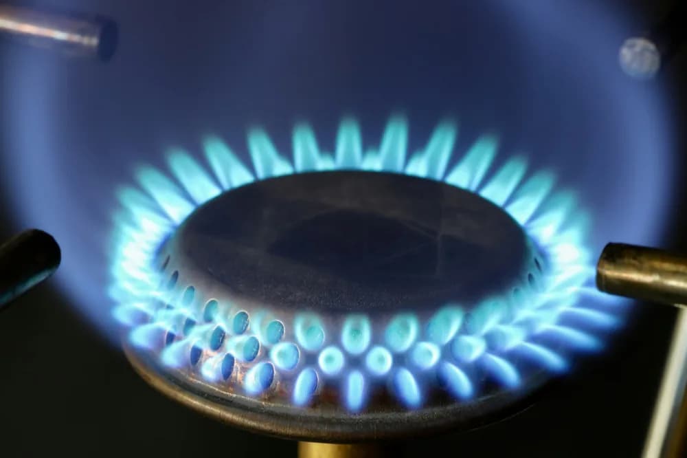 Brûleur de table de cuisson allumé, couronne de flamme bleue